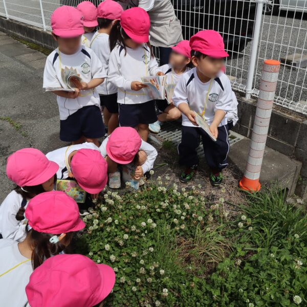 図鑑を持って春探し